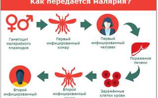 Что такое элиминация малярии