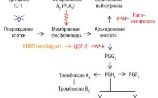 Применение Диацереина для терапии остеоартроза и остеоартрита