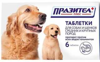Суспензия от глистов для собак мелких пород празител