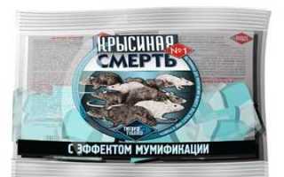 Сколько живет мышь после отравления