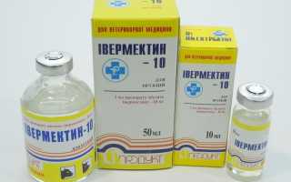 От глистов ивермек для кроликов