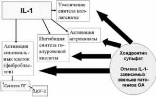 Доступно о препарате Артрин: инструкция, советы, отзывы