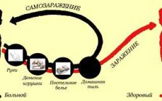 Что в моркови губительно действует на острицы