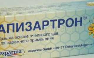 Мазь Апизартрон — пчелы на страже здоровья ваших суставов