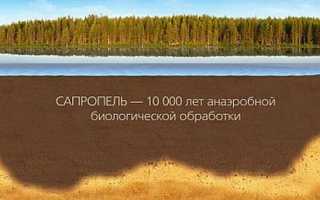 Применение лечебной грязи для лечения суставов: рецепты и советы