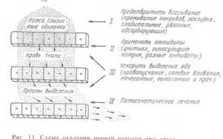 Лекарственные средства при отравлении ветеринария