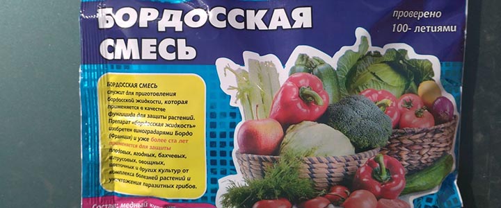 Чем опрыскивать плодовые деревья Чем и когда опрыскивать плодовые деревья