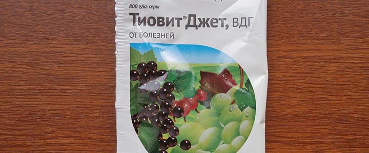 Титовид Джет Когда опрыскивать плодовые деревья
