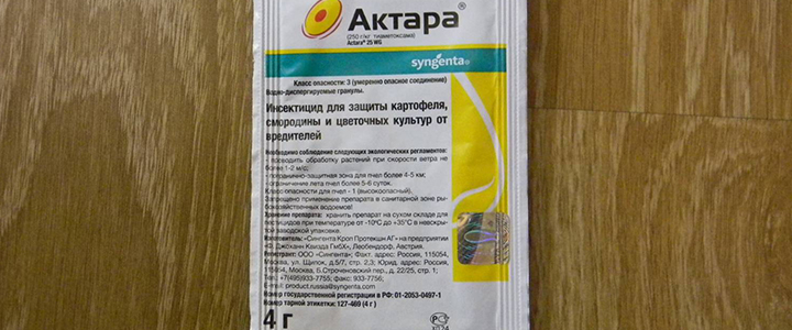 Чем опрыскивать плодовые деревья Чем и когда опрыскивать плодовые деревья