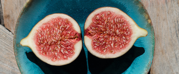 Польза Полезные свойства инжира