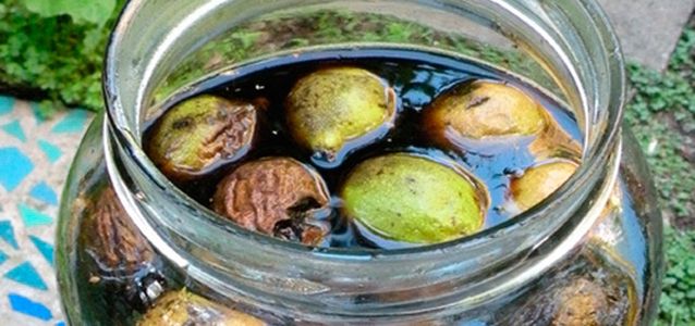 вред маньчжурского ореха польза маньчжурского ореха