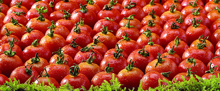 Ликопин в продуктах Для чего нужен ликопин