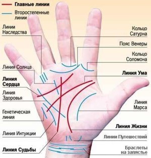 Как располагаются линии на ладони? Где какая линия на человеческой ладони?