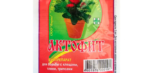 Паутинный клещ как бороться Паутинный клещ на комнатных растениях