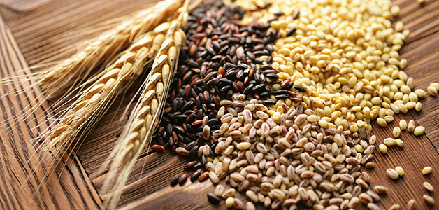 Корзина продуктов на Новый год Список продуктов на Новый год