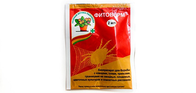 Как выглядит паутинный клещ Паутинный клещ