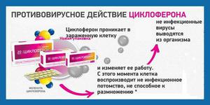 Циклоферон уколы инструкция по применению Как принимать циклоферон