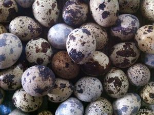 Маски для лица из перепелиных яиц Маски из перепелиных яиц для лица